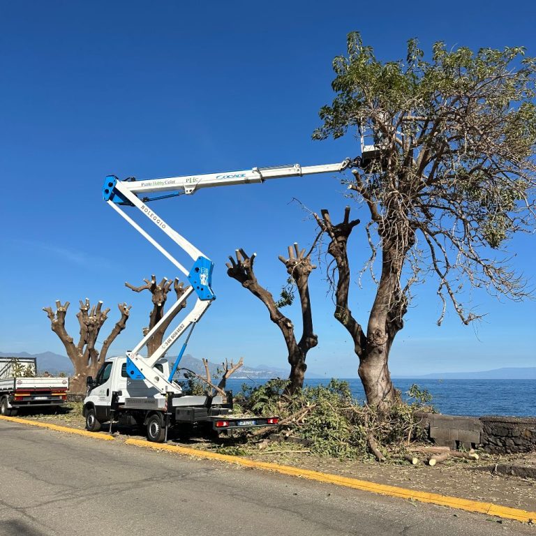 Affitto camion con cestello in provincia di catania per potatura alberi