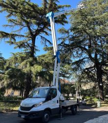 Camion con cestello noleggiato mentre si occupa della potatura di alberi