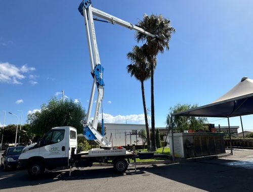 Camion con cestello affittato per lavoro potatura alberi e siepi a Mascali